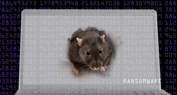 Two-year-old malware campaign plagues Ukrainians with Vermin, Quasar ...