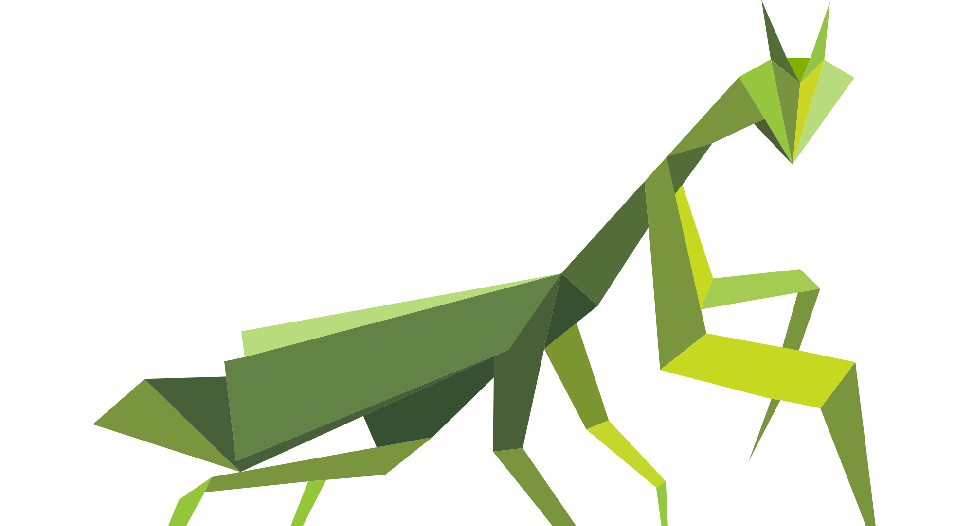 Mantis Warning Display Roaming Mantis malicious redirection campaign preys on Android, iOS and ...