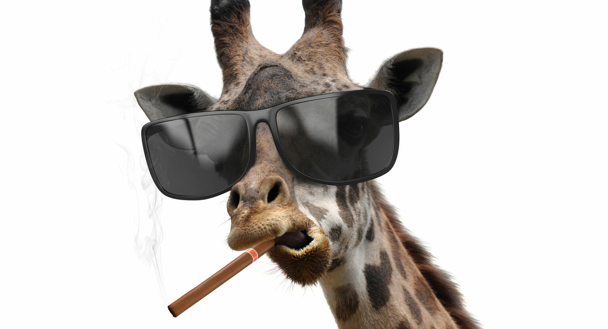 Fearing backlash, IoT hacker ‘TheHackerGiraffe’ no longer sticking neck ...