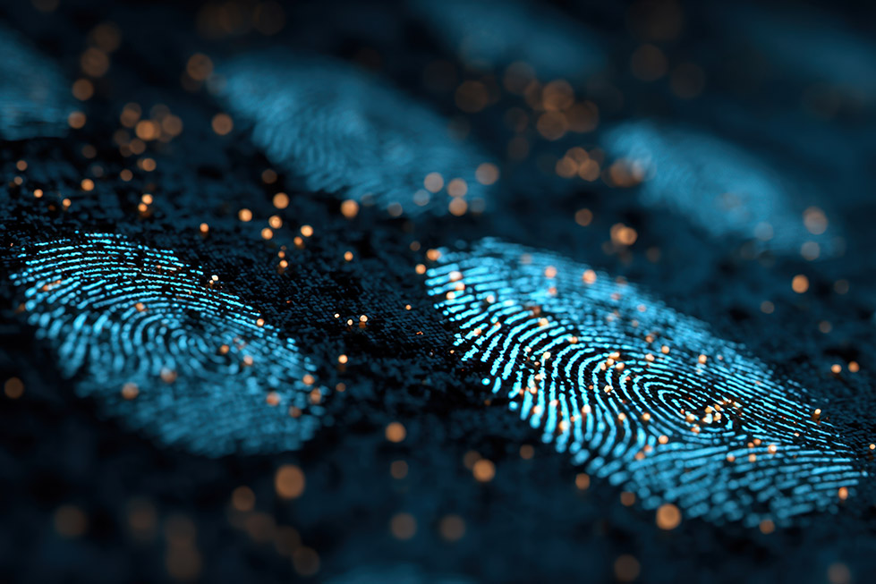Over 180 million stolen credentials added to Have I Been Pwned